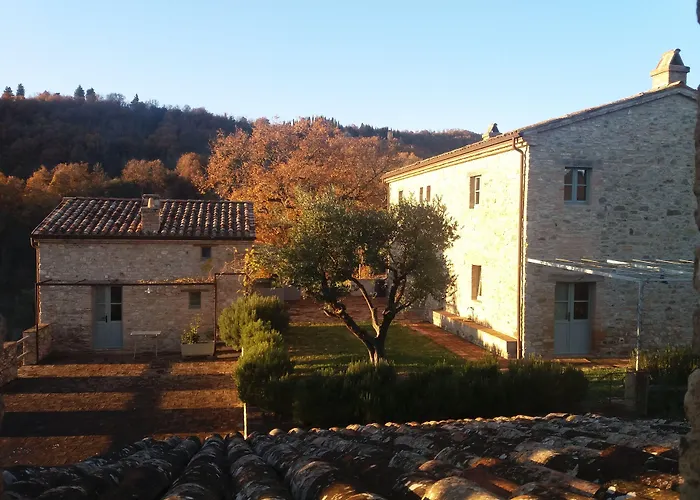 Cardaneto Montone (Umbria)